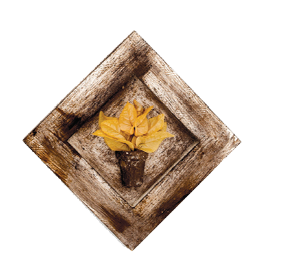 Quadro p